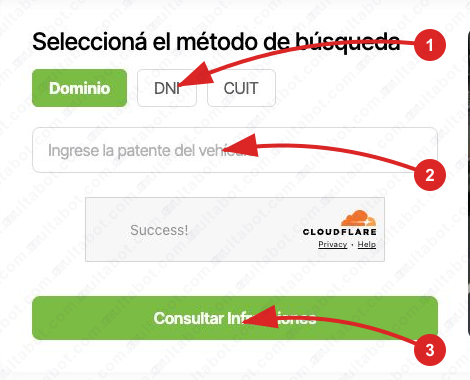 Formulario municipal de Avellaneda con opciones de consulta por dominio, DNI o CUIT
