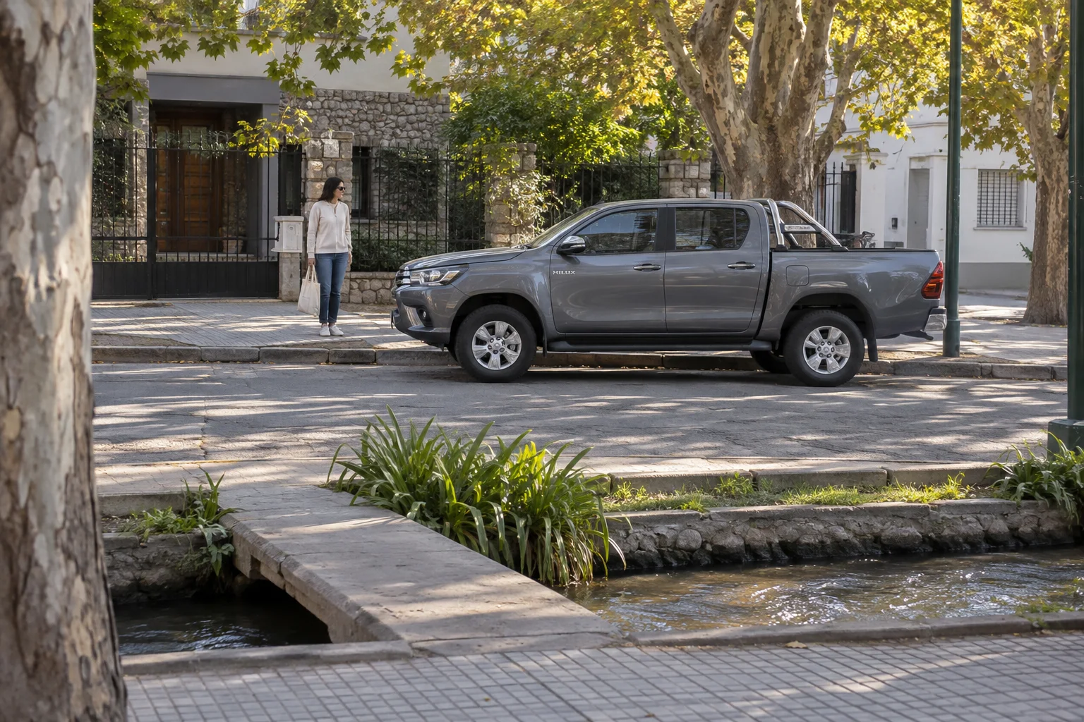 Pickup estacionada junto a una vereda arbolada y una acequia en la Ciudad de Mendoza