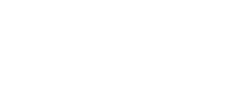 VEC Fleet
