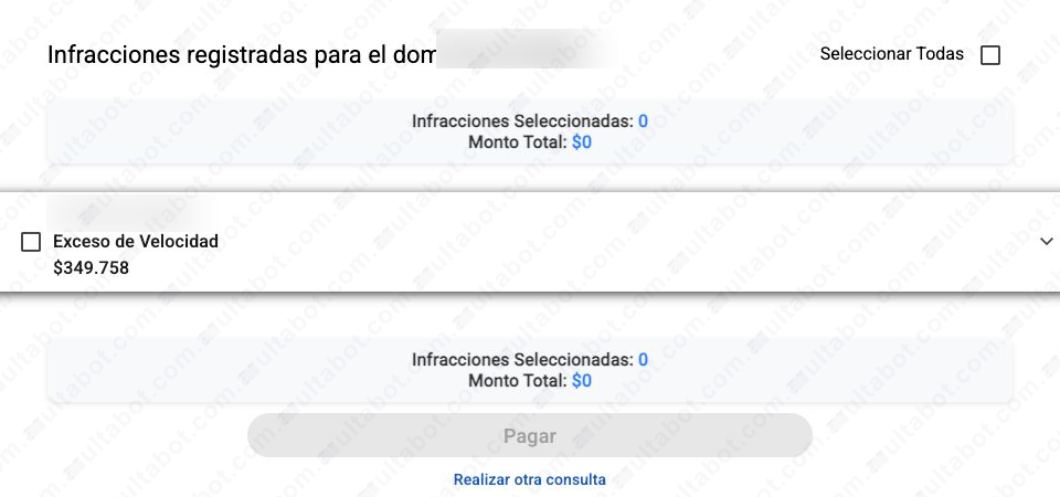 Listado de infracciones con concepto e importe para Puerto Iguazú