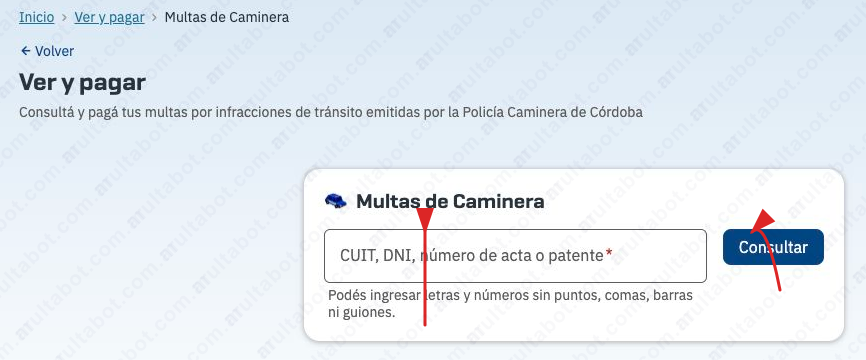 Formulario de Rentas Córdoba para consultar multas de Policía Caminera por patente, DNI, CUIT o acta