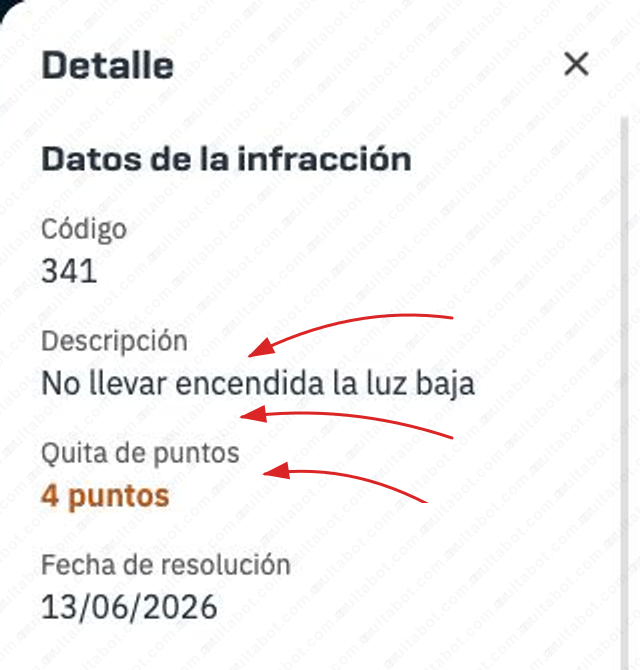Detalle de una multa de Caminera de Córdoba con descripción, puntos y fecha de resolución