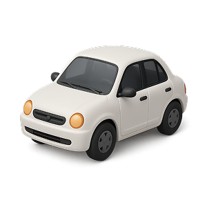 Ingresá tu patente o DNI