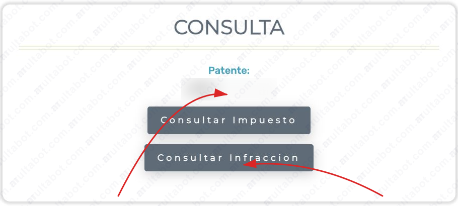 Formulario de Rentas de San Salvador de Jujuy para consultar infracciones por patente