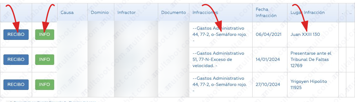 Resultado de multas de Lomas de Zamora con causa, infracción, fecha, lugar, recibo e información