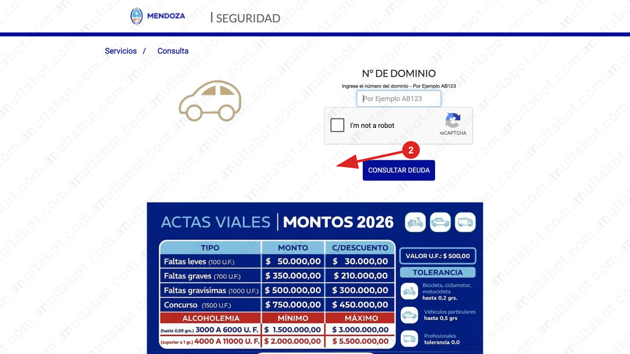 Formulario oficial para consultar multas de Mendoza por patente