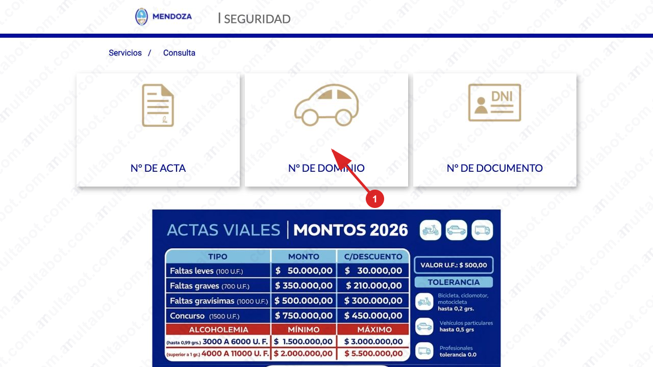Portal vial de Mendoza con opciones de consulta por acta, dominio y documento