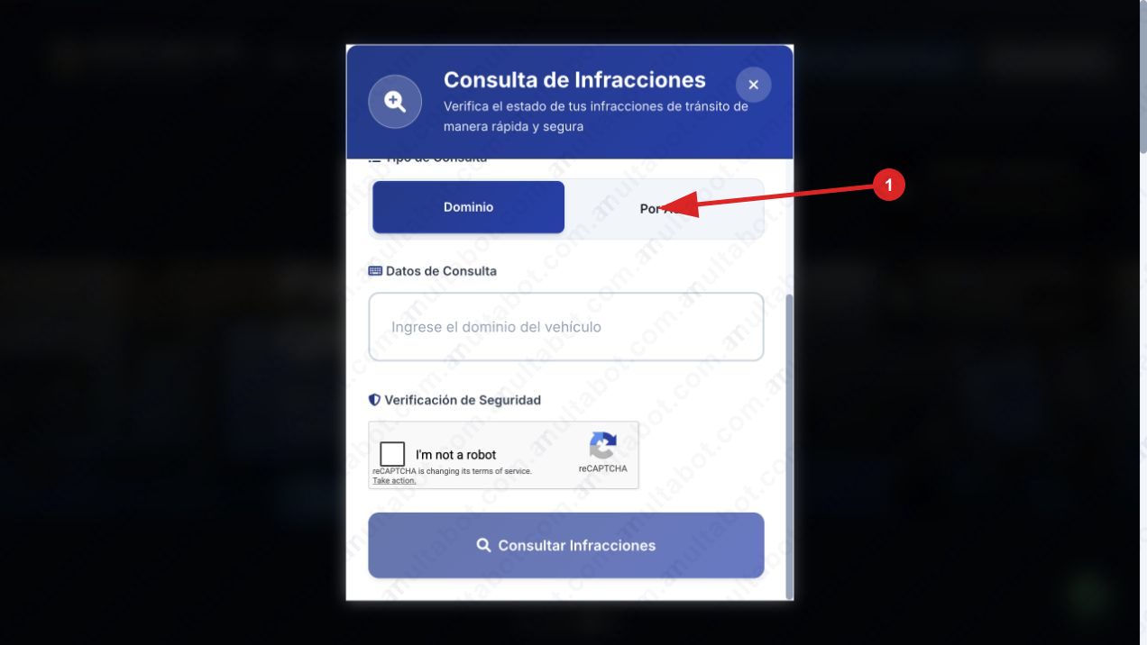 Formulario de Monitoreo Vial Misiones con consulta por dominio o número de acta