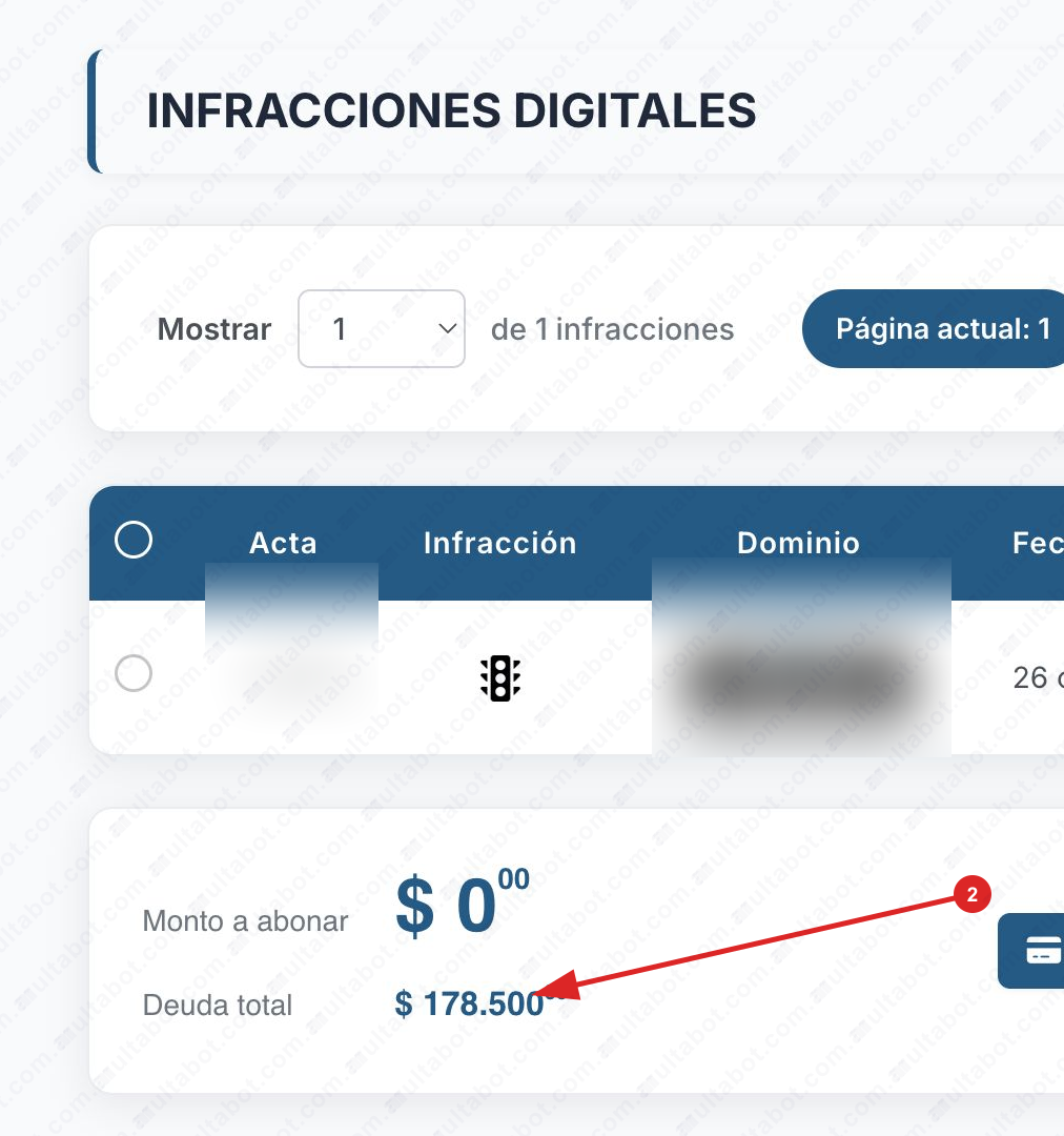 Resultado de Monitoreo Vial Misiones con acta, dominio, monto y deuda total