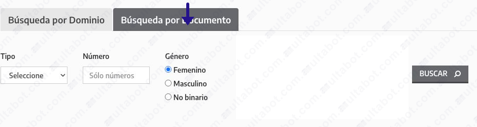 Formulario de InfraccionesBA con la búsqueda por documento seleccionada
