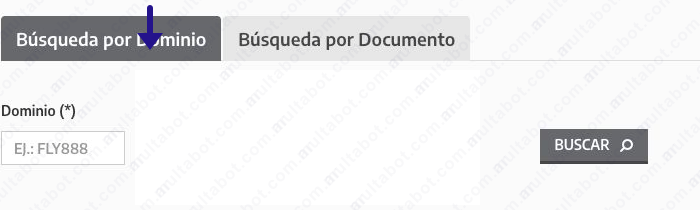 Formulario de InfraccionesBA con la búsqueda por dominio seleccionada