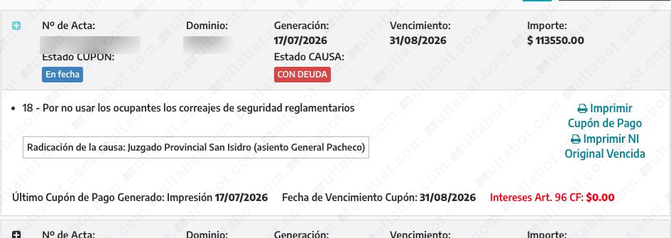 Detalle desplegado de una infracción bonaerense con descripción, juzgado y datos del cupón