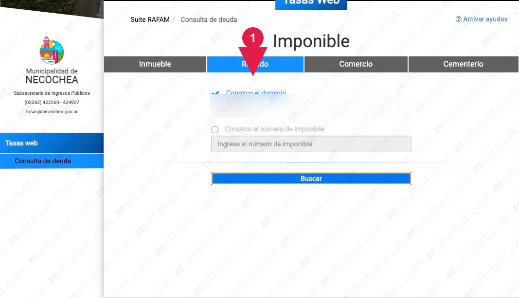 Suite RAFAM de Necochea con la pestaña Rodado seleccionada para deuda fiscal