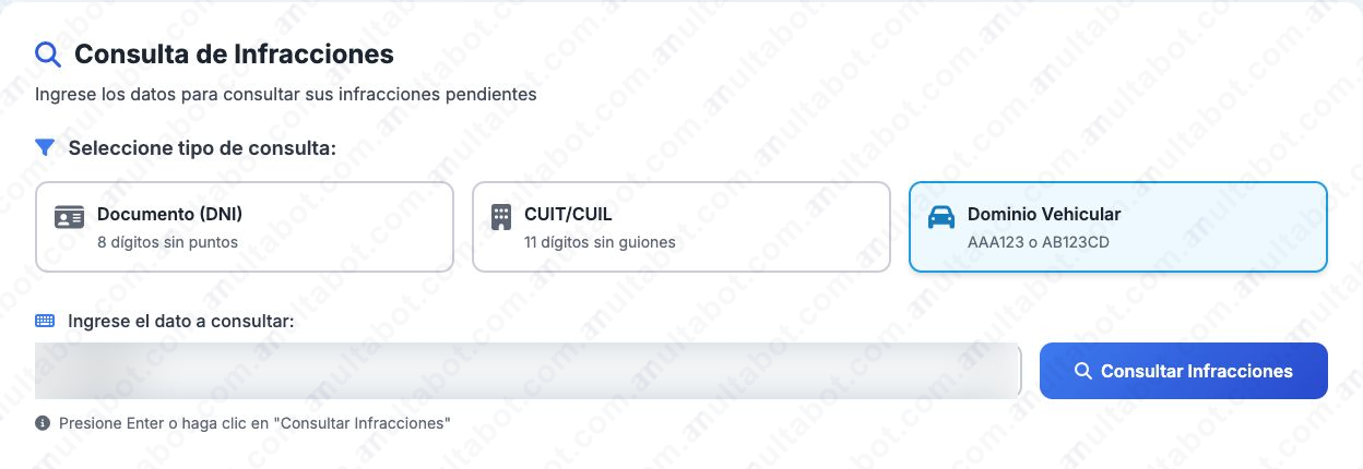 Interfaz municipal con opciones de consulta por dominio, DNI o CUIT