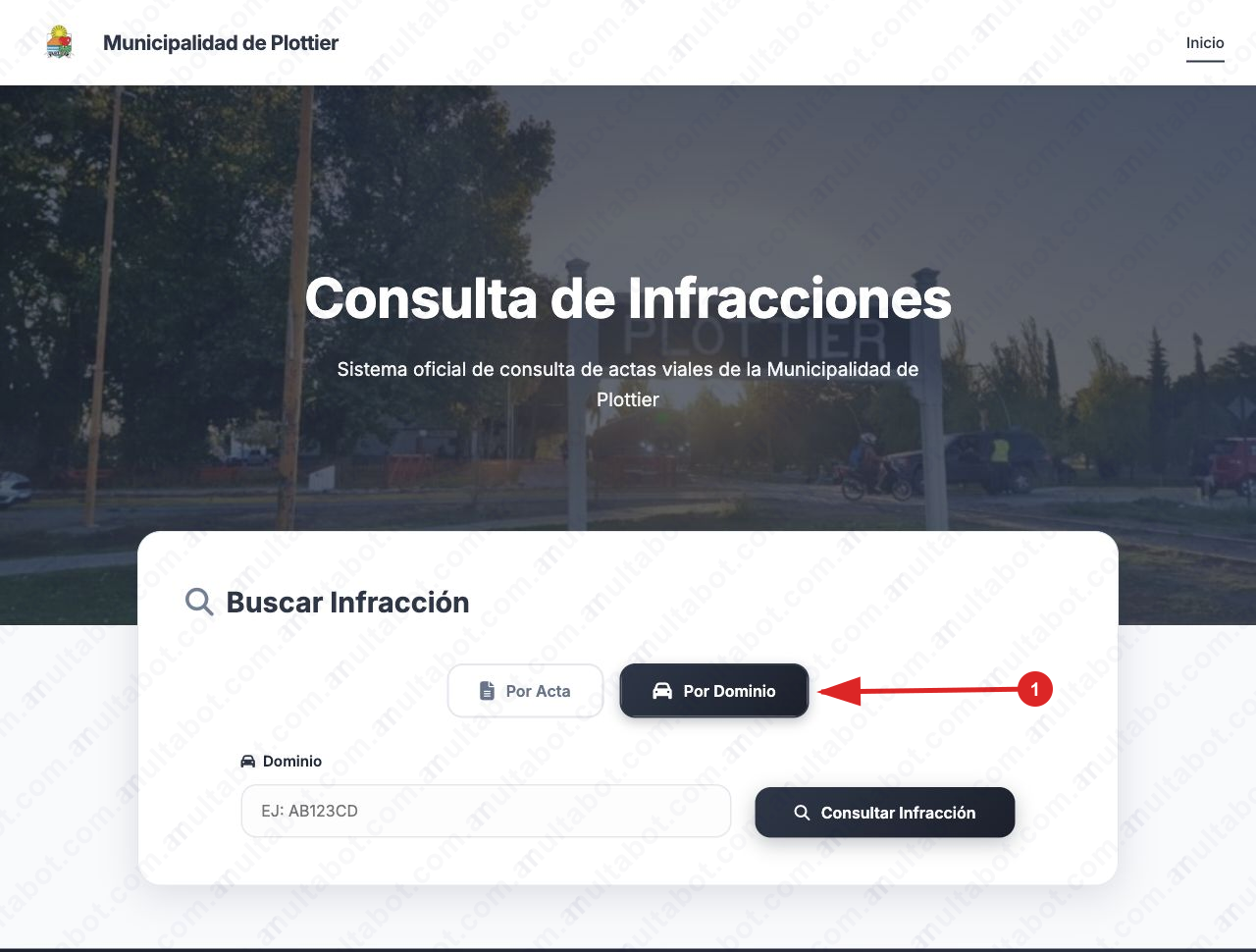 Formulario oficial para consultar multas de Plottier por patente o número de acta