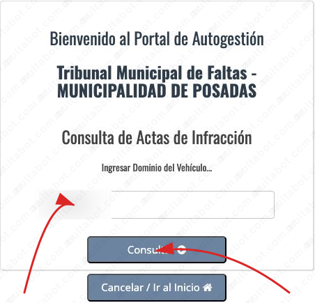 Formulario del Tribunal Municipal de Faltas de Posadas para consultar multas por patente