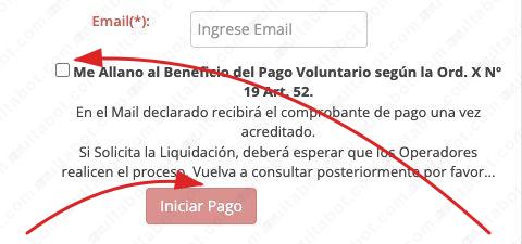 Sector de pago voluntario de multas de Posadas con solicitud de liquidación e inicio de pago