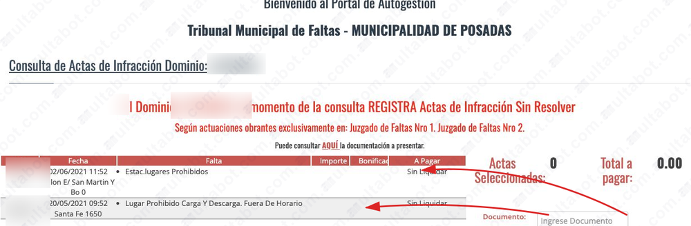 Resultado de multas de Posadas con fecha, falta, importe, bonificación y estado de liquidación