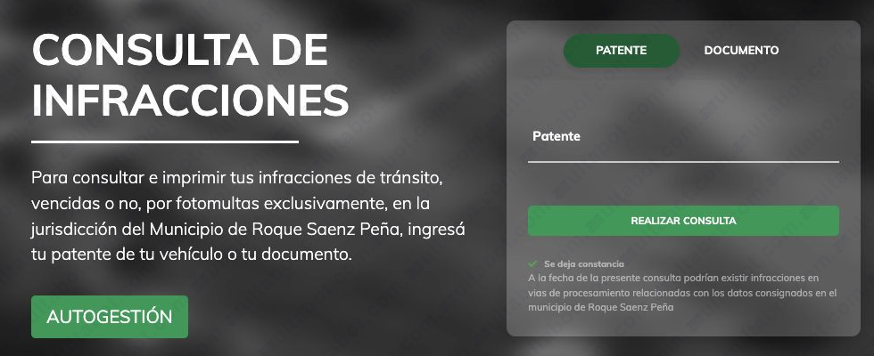 Formulario del portal de multas de Roque Sáenz Peña por patente o documento