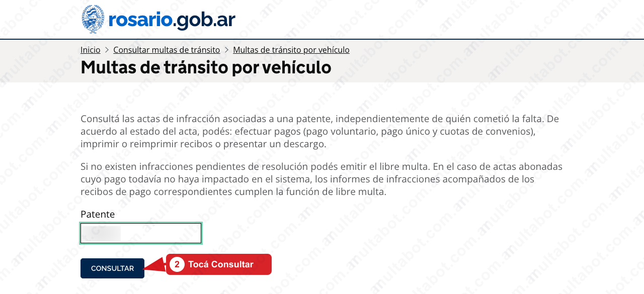 Campo Patente completo y botón Consultar en el portal de multas de Rosario
