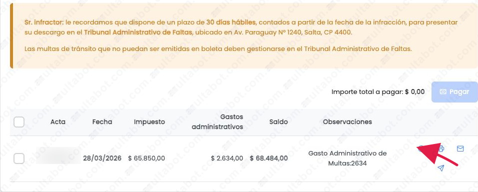 Tabla de multas de Salta Capital con fecha, importe, gastos administrativos, saldo y acciones