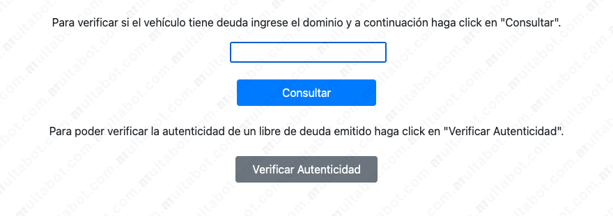 Formulario municipal para consultar multas de San Juan Capital por patente