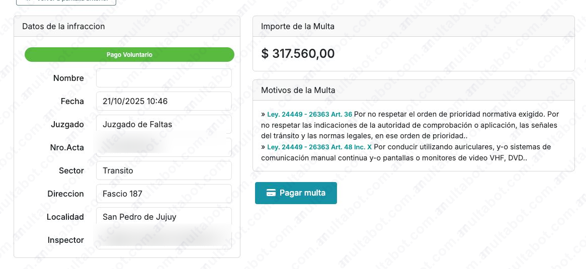Detalle municipal de una multa con fecha, juzgado, ubicación, motivos e importe