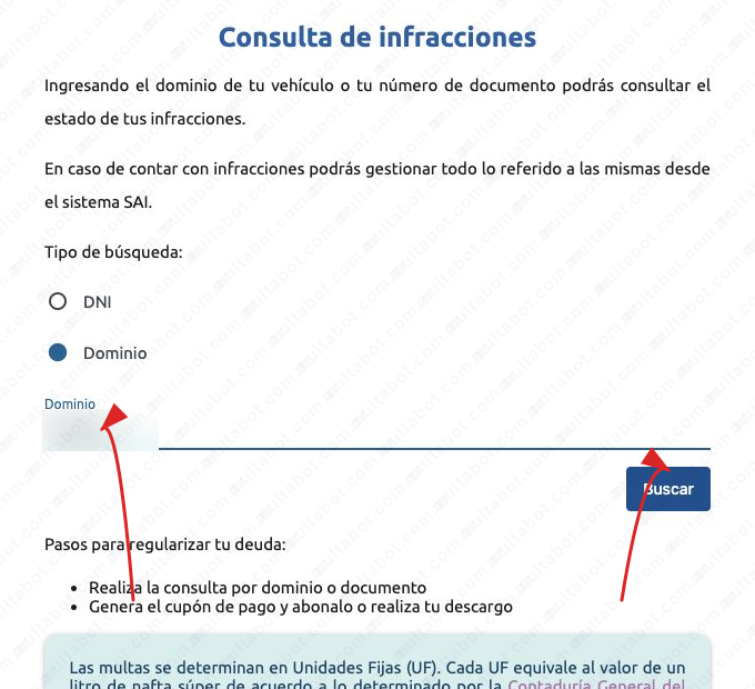 Formulario municipal de Santa Rosa para consultar multas por dominio o DNI
