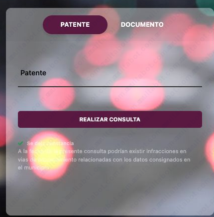 Formulario del portal de multas de Cañuelas para consultar por patente o documento