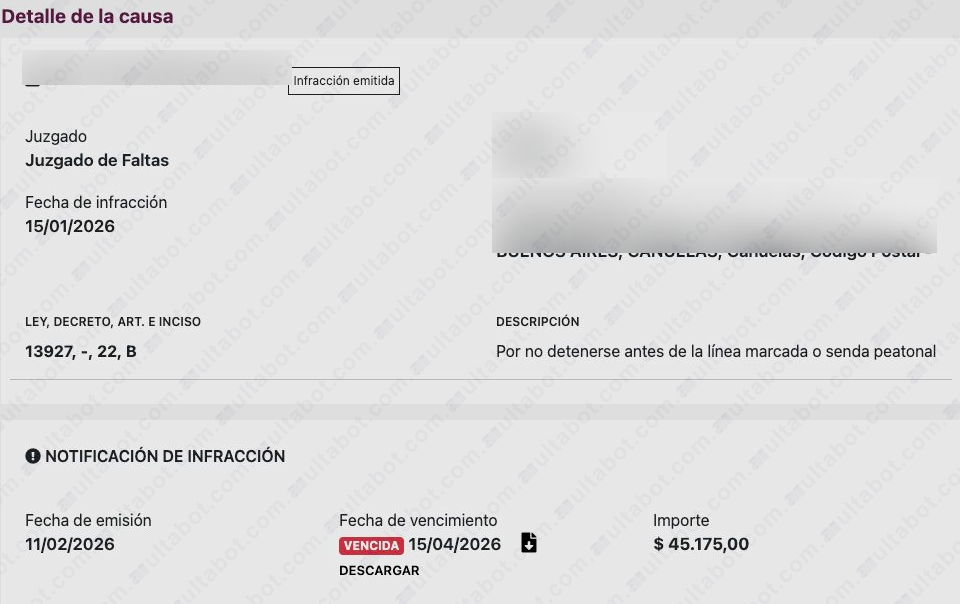 Detalle de una multa con descripción, vencimiento e importe
