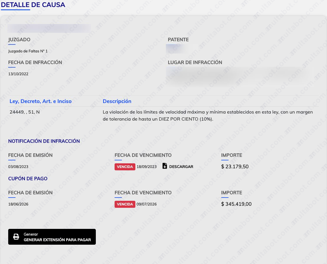 Detalle de una multa de San Vicente con notificación y cupón de pago