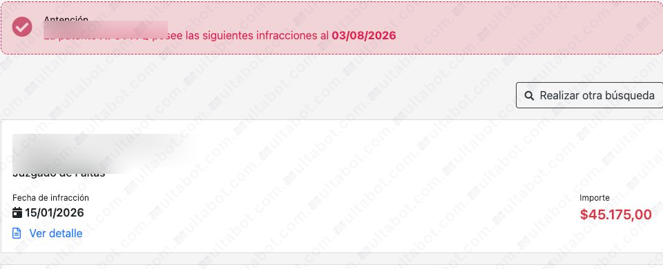 Listado del portal de Cañuelas con fecha e importe de cada multa