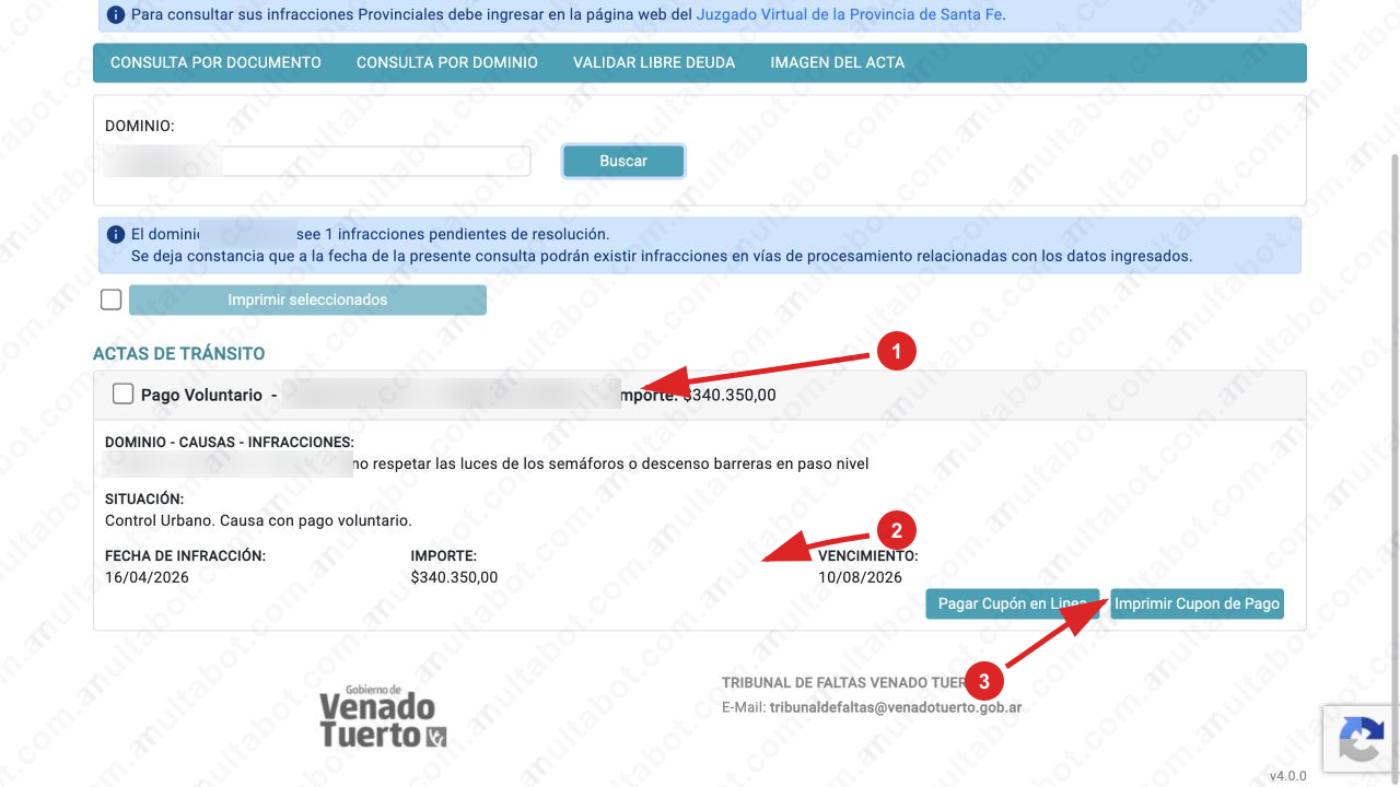Resultado municipal de Venado Tuerto con pago voluntario, descripción, fecha, importe, vencimiento y acciones de pago